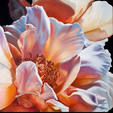 Pivoine en contre-jour — Pastels · 70 x 70 · 2020