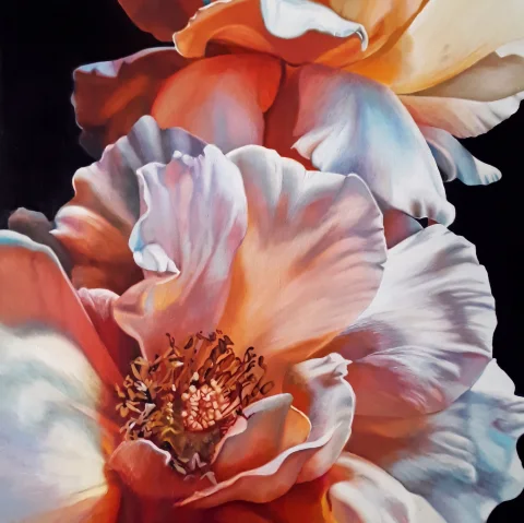 Pivoine en contre-jour — Pastels · 70 x 70 · 2021