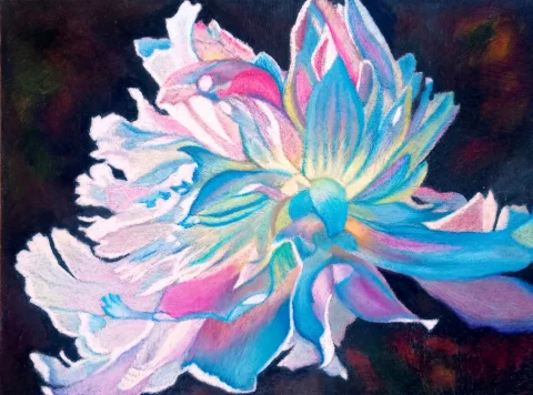 Pivoine en contre-jour — Pastels · 50 x 50 · 2021