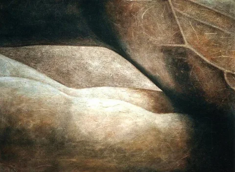 Male nu bras — Charcoal · 50 x 70 · 2012