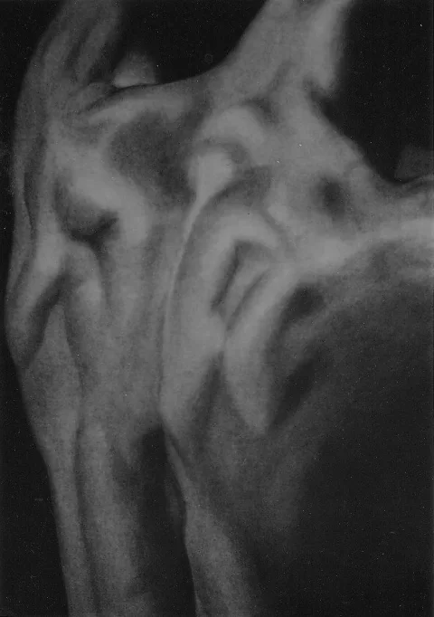 Male nu dos lattes — Charcoal · 50 x 70 · 2012