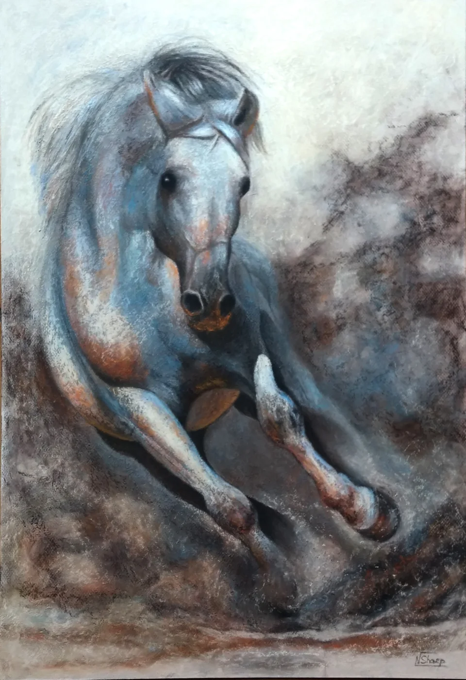 Horse running