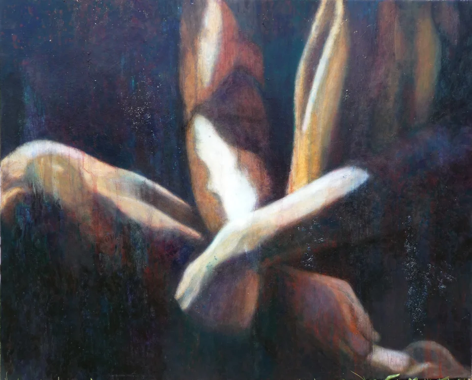 Hands tied1