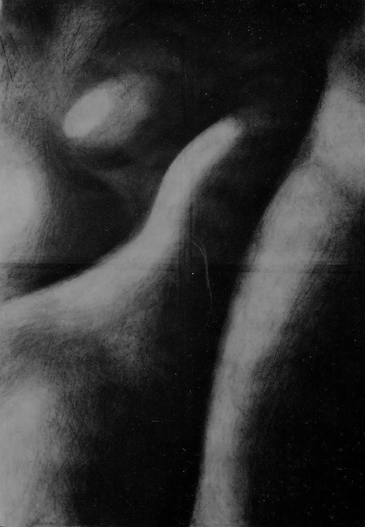 Œuvre de Nathalie Sharp