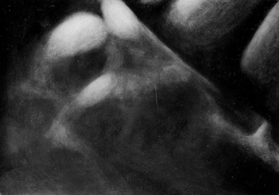 Œuvre de Nathalie Sharp