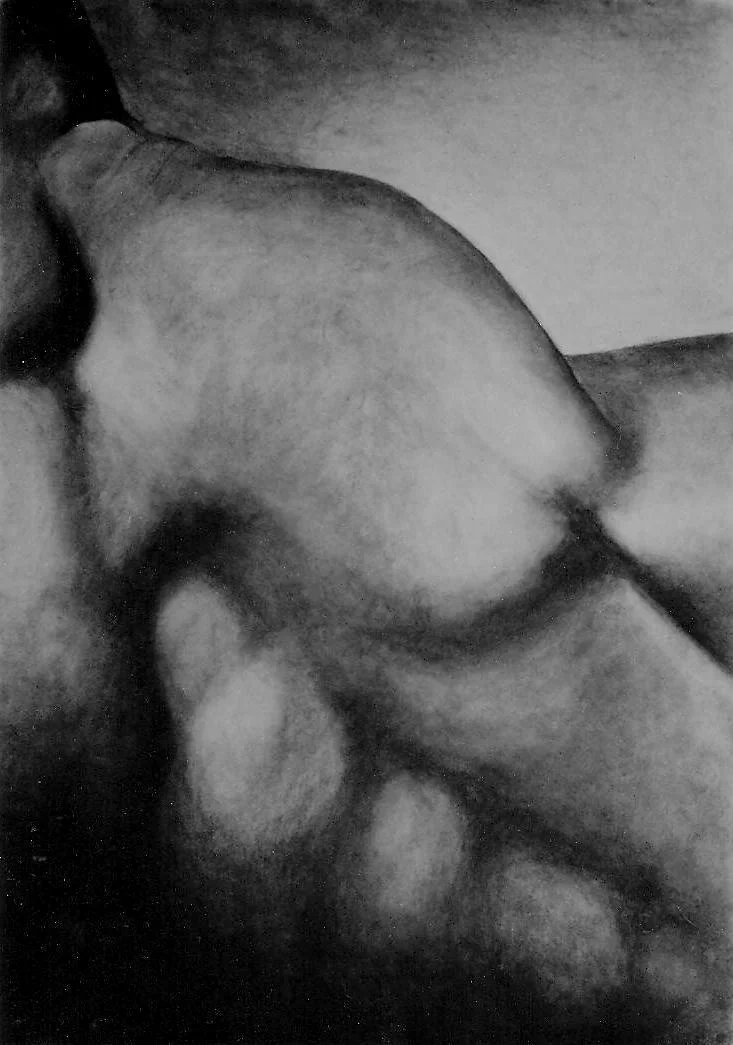 Œuvre de Nathalie Sharp