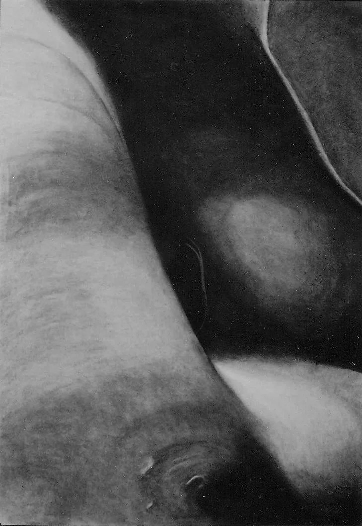 Œuvre de Nathalie Sharp