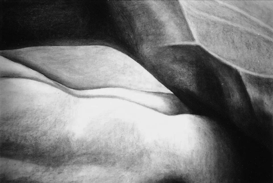 Œuvre de Nathalie Sharp