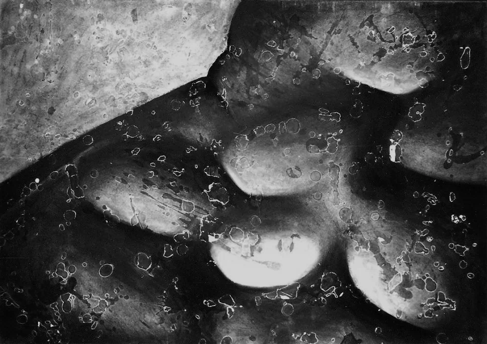 Œuvre de Nathalie Sharp