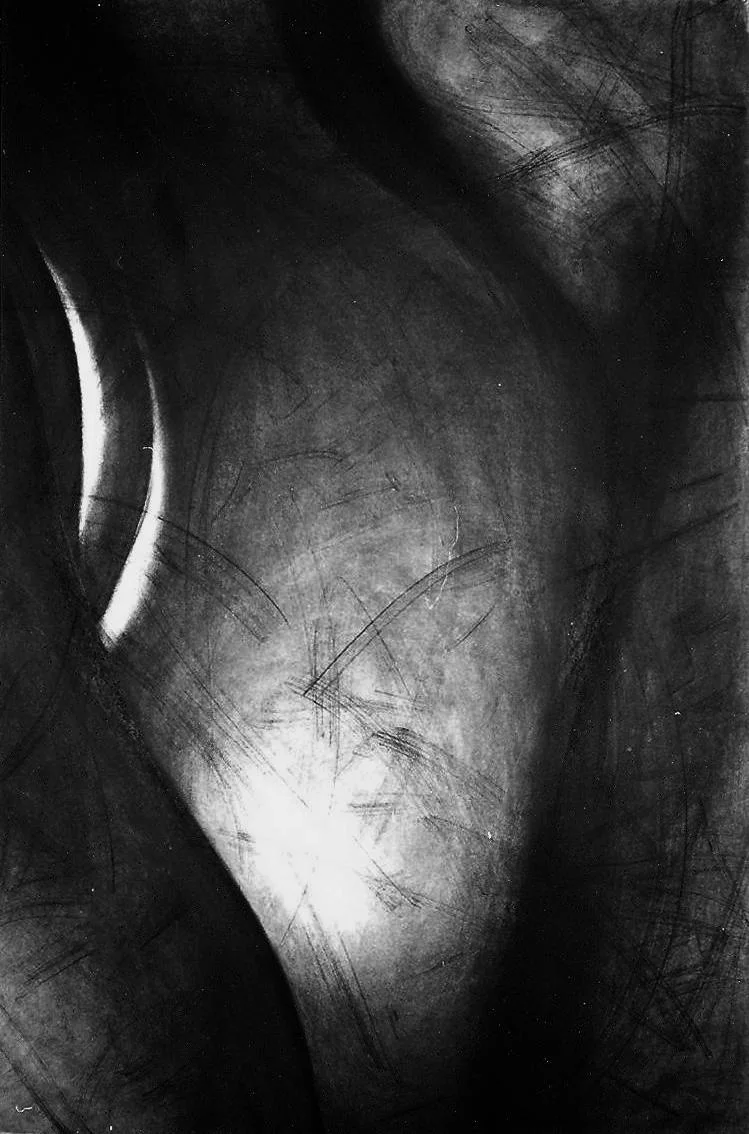 Œuvre de Nathalie Sharp