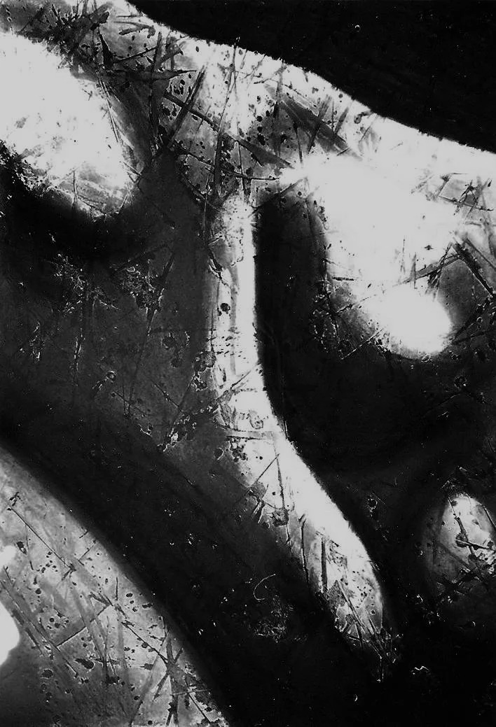 Œuvre de Nathalie Sharp