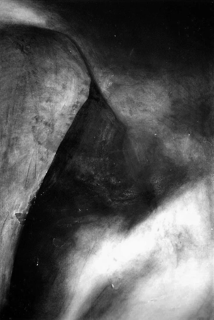 Œuvre de Nathalie Sharp