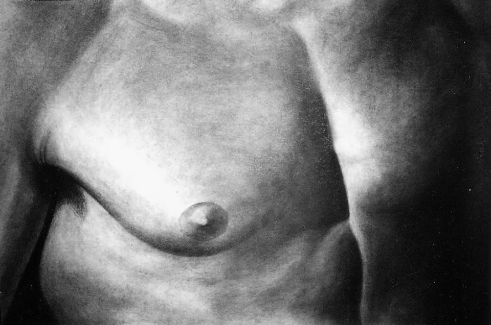 Torse homme