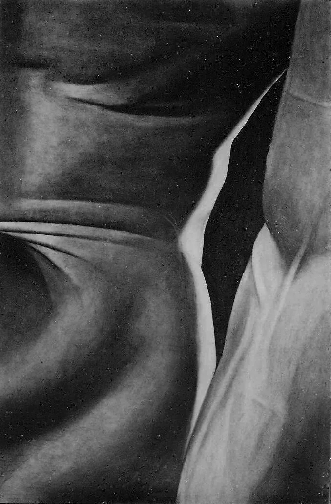 Œuvre de Nathalie Sharp