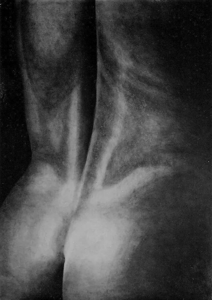 Œuvre de Nathalie Sharp