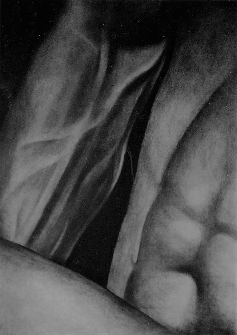 Œuvre de Nathalie Sharp