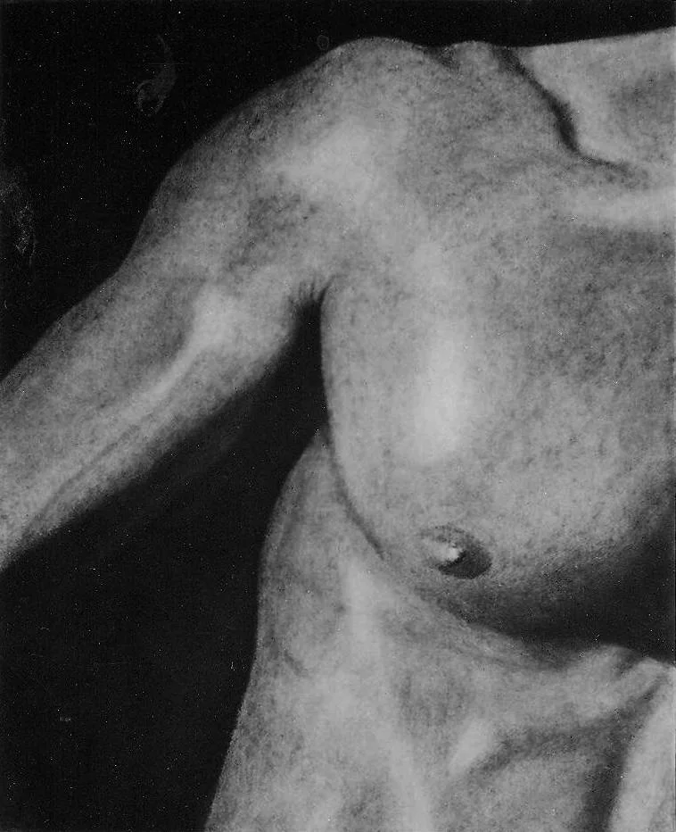 Œuvre de Nathalie Sharp
