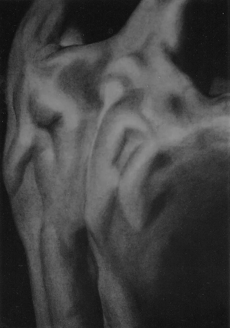 Œuvre de Nathalie Sharp