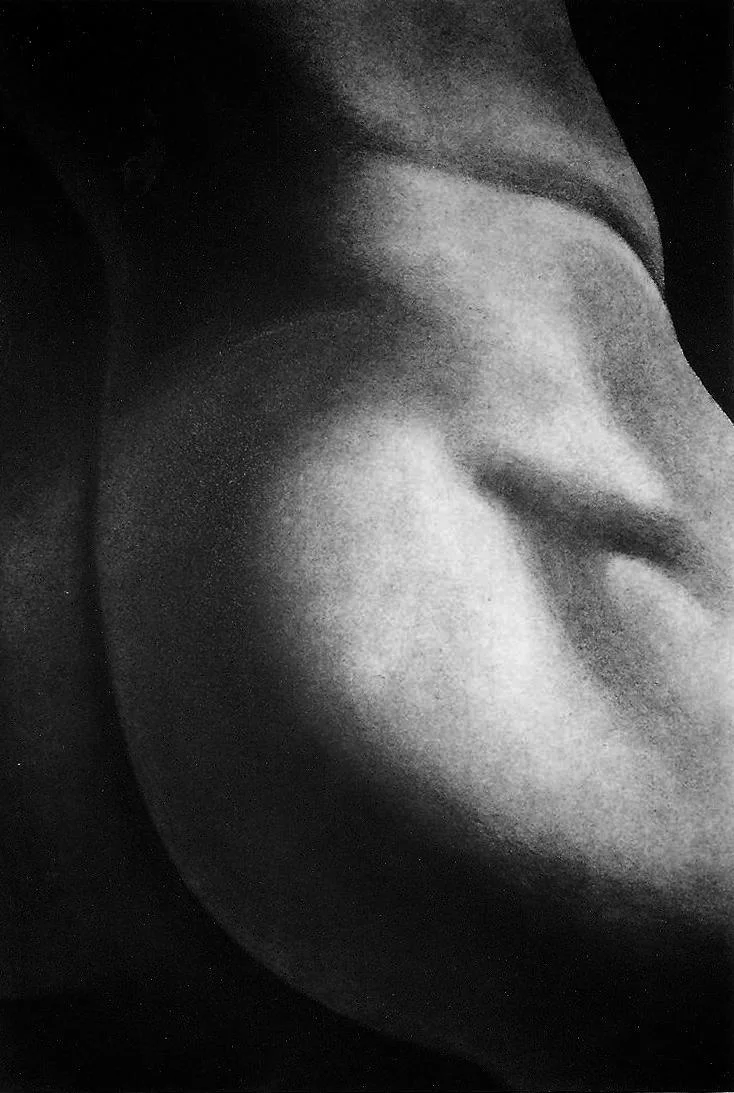 Œuvre de Nathalie Sharp