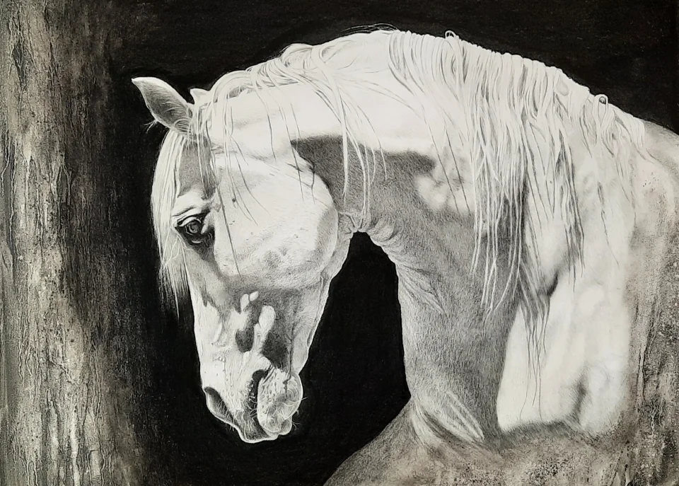 Horse profile black and white